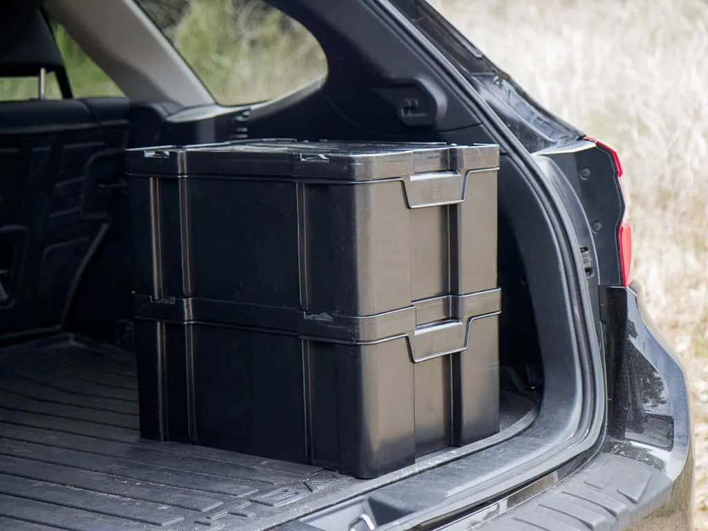 Cub Pack – Front Runner – Image 4