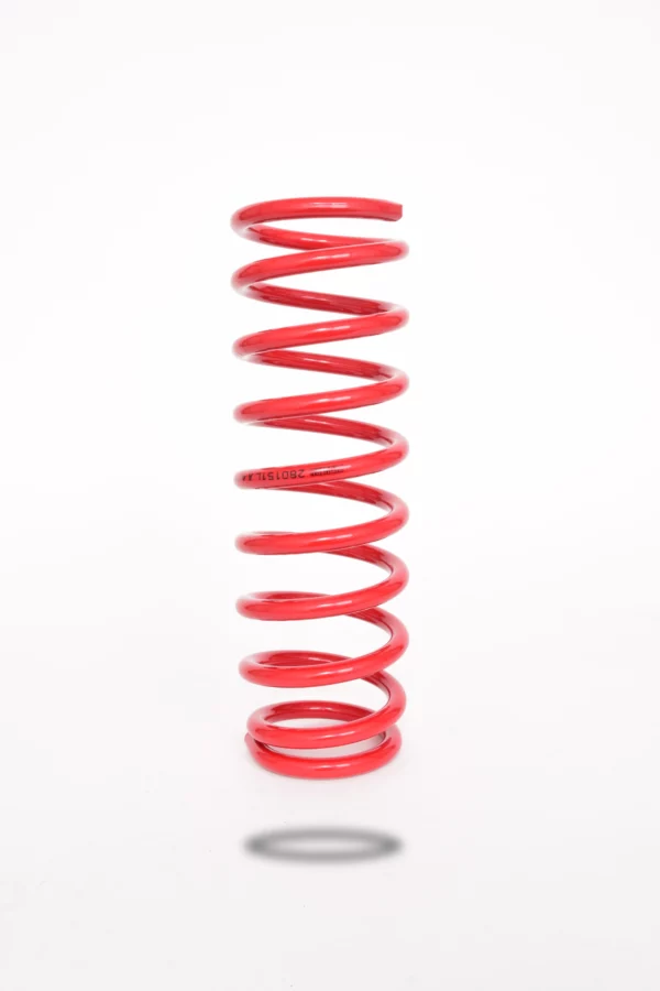 RESSORT ARG PEDDERS SUZUKI JIMNY